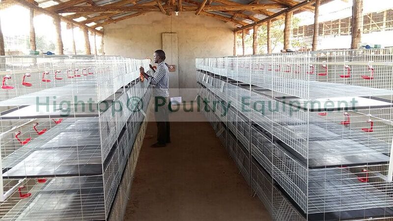 Delivered Poultry Cage